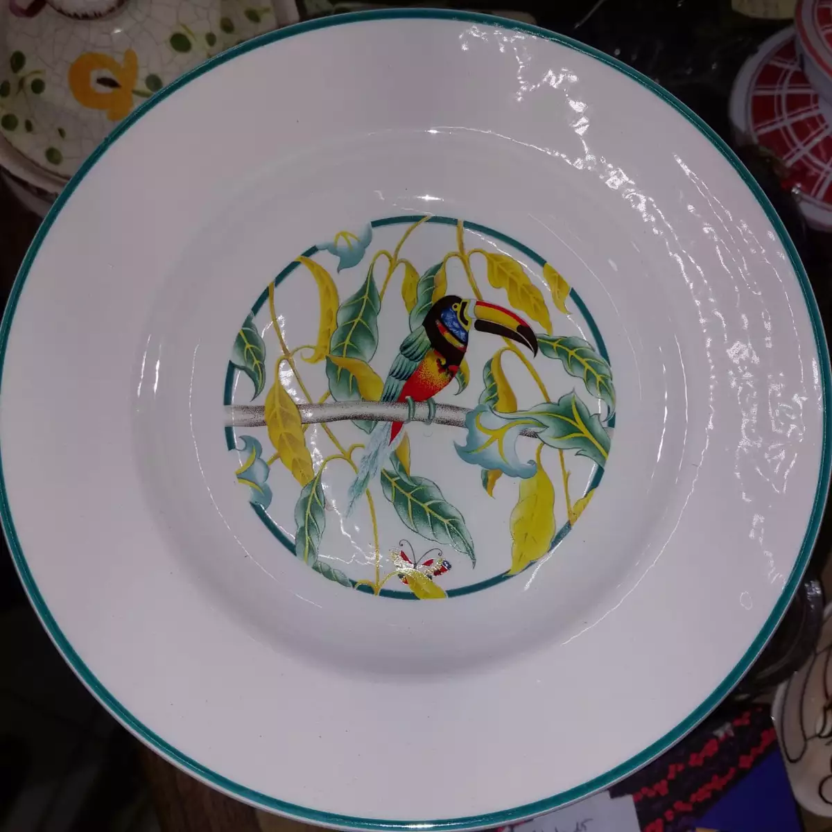 assiettes creuses en porcelaine modèle Toucan