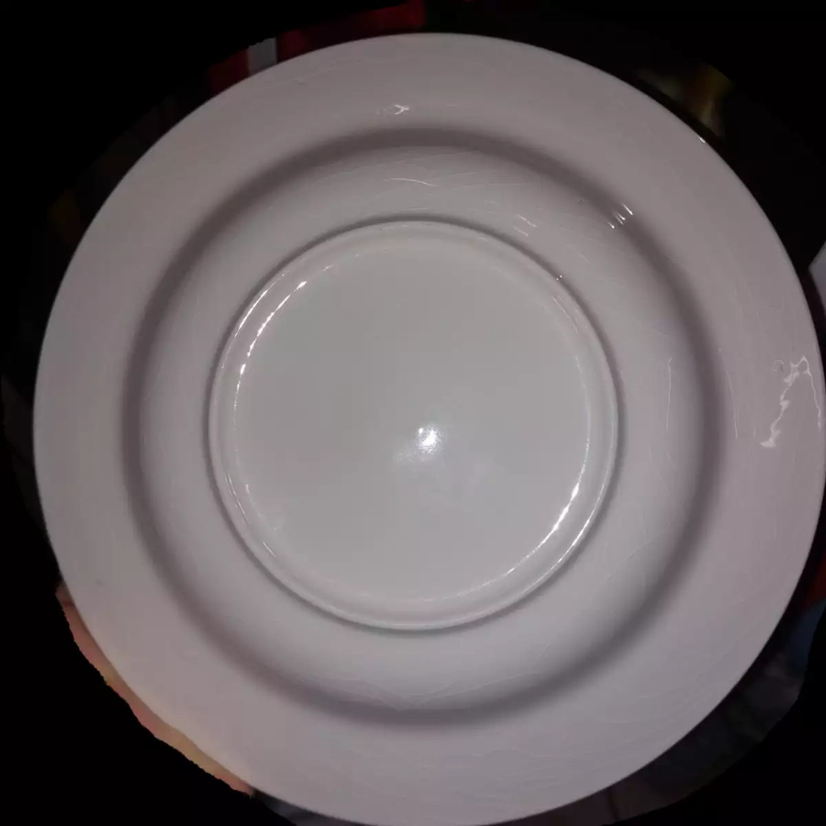 assiettes creuses en porcelaine modèle Toucan