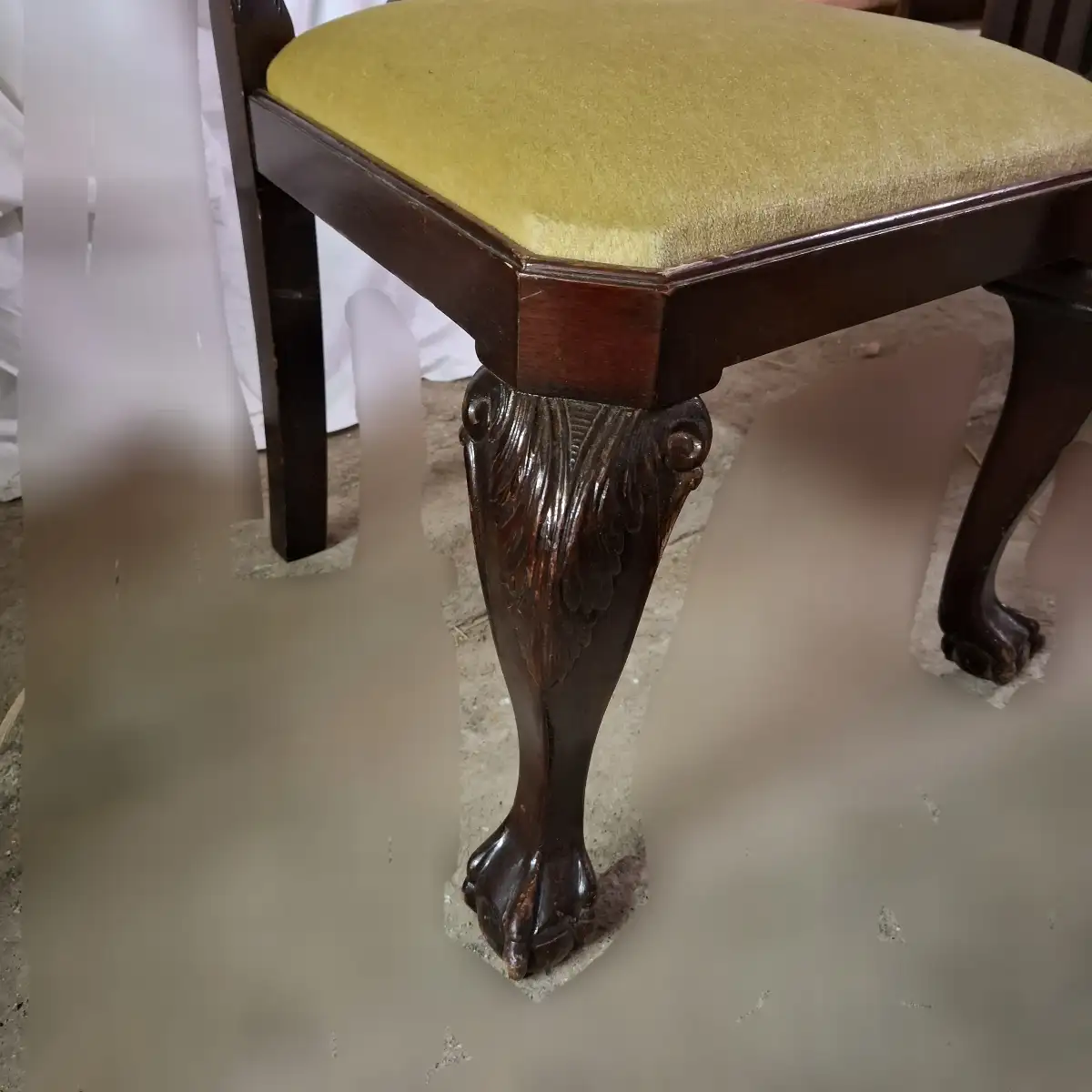 Lot de 12 chaises Chippendale